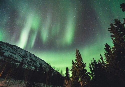 The Ultimate Canada Bucket List: Unforgetable Things to Do