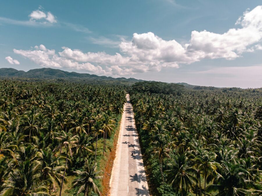 Scenic road in Siargao with lush trees on both sides, showcasing one of the best things to do in Siargao – exploring the island's beautiful landscapes.