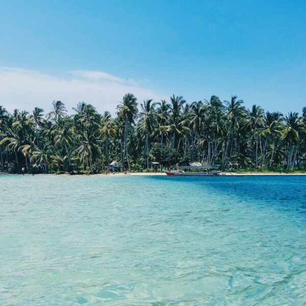 Things to do in the Mentawai Islands: Amazing Things to Explore