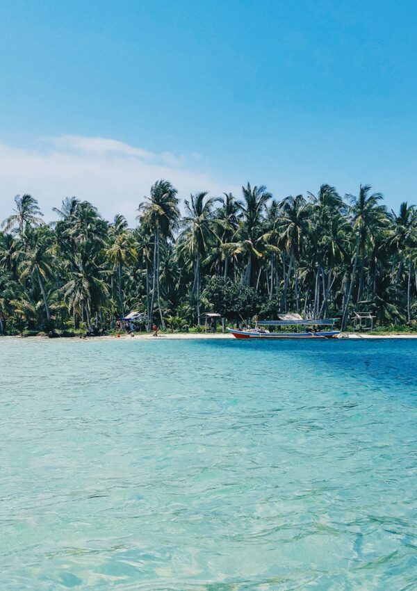 Things to do in the Mentawai Islands: Amazing Things to Explore