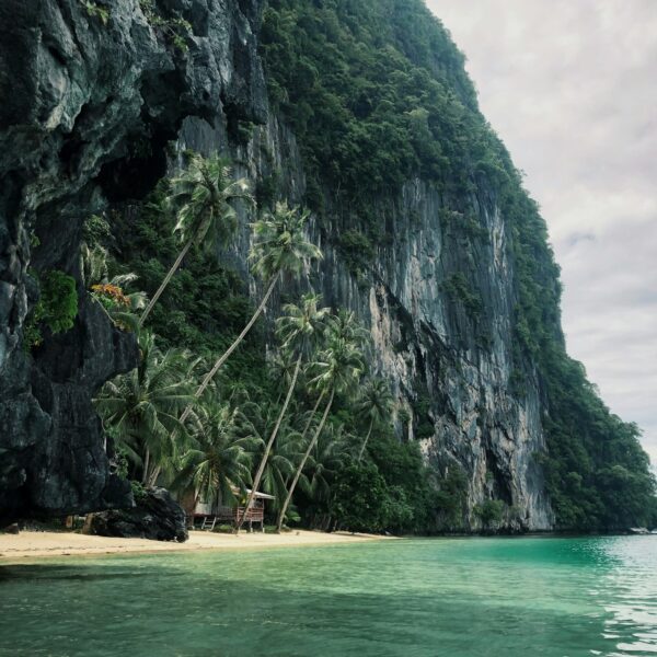 Best Places to Snorkel in Palawan: The Ultimate List