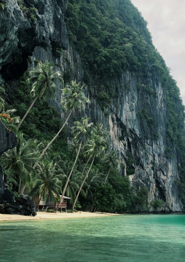 Best Places to Snorkel in Palawan: The Ultimate List